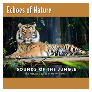 全球禁播无删减裸体时装网站
